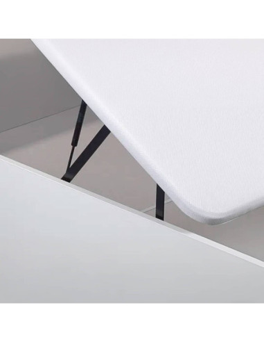 CANAPÉ ABATIBLE COLOR BLANCO NATURBOX...