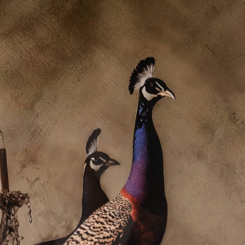 Cuadro Pavos Reales y Flores 100x140 cm